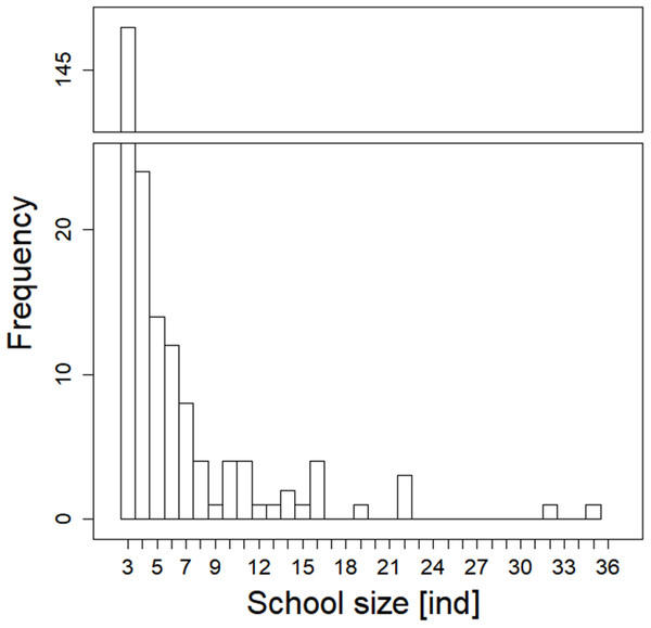 Histogram showing observed frequencies of fish schools of particular size.