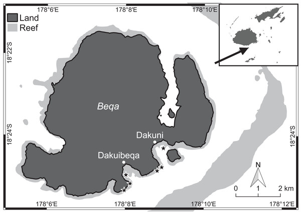 Beqa island in the south of Fiji (see arrow) with locations of the six study sites (stars) close to the village of Dakuibeqa and Dakuni.