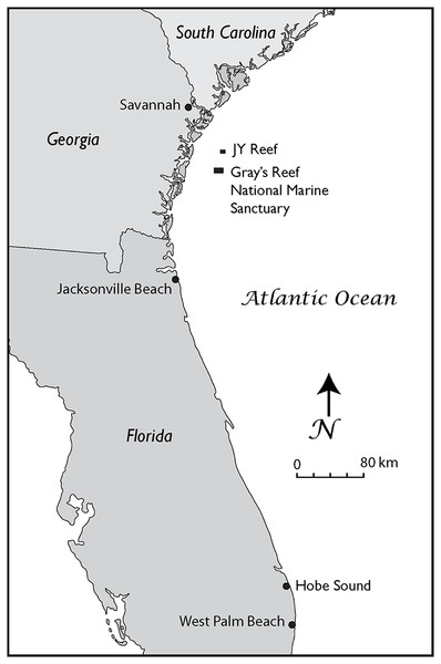 The Georgia Bight and Florida Peninsula, showing the location of the gray whale specimens discussed in the text.