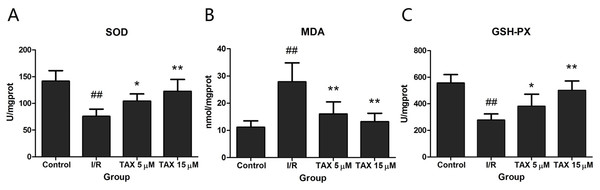 Effect of TAX on cardiac the activity of SOD and GSH-PX, contents of MDA.