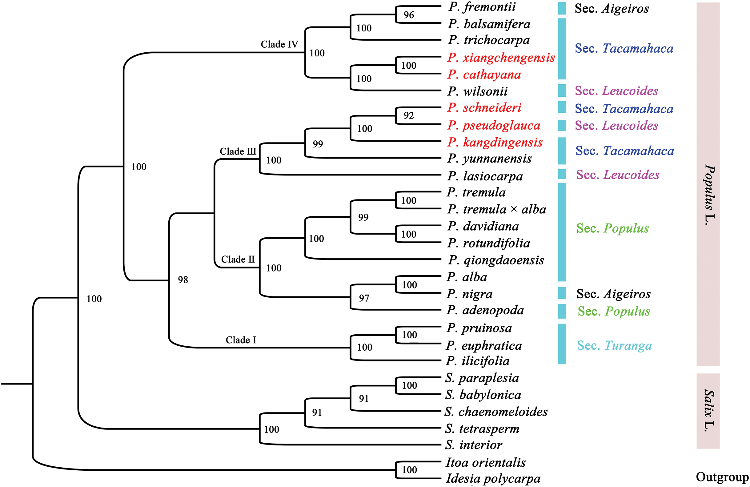 Characterization of the complete chloroplast genomes of five 