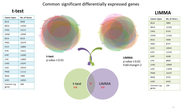 Common significantly differentially expressed protein-coding genes from t-test (at p-value <0.01) & LIMMA (at p-value <0.01, fold change >2.0).