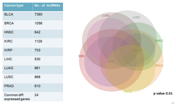 Common significantly differentially expressed noncoding genes (lncRNAs) in nine types of tumors.