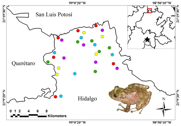 Location of the study area and sampling points.