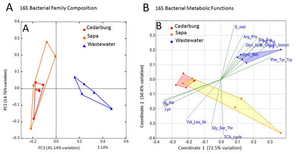 PCoA of pitcher plant bacterial composition and functions in two populations.