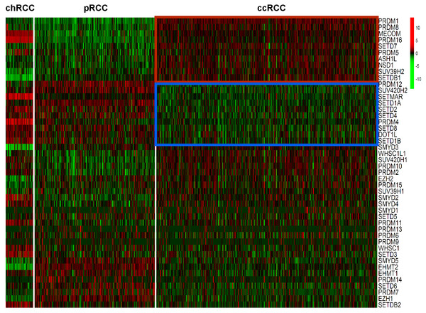 Heatmap of HMTs expression profiles in different types of renal cell carcinoma.