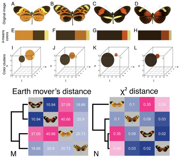 Color similarity analysis of Heliconius butterflies using earth mover’s distance and χ2 distance.