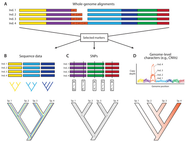 A posteriori marker selection from whole-genome alignments for phylogenomics and phylogeography.