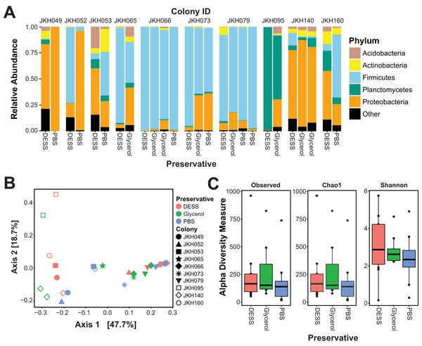 Preservative type does not alter the community structure of T. septentrionalis fungus gardens.