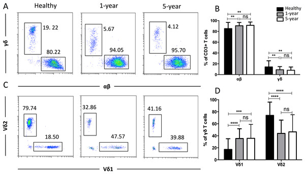 Parental proportions of αβ, γδ, and Vδ1 and Vδ2 γδ T cells among different groups.