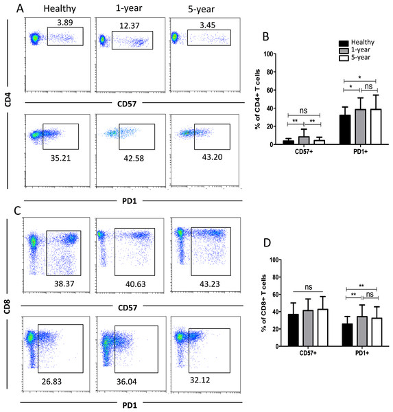 Parental proportions of CD57+ and PD1+ T cells among different groups.