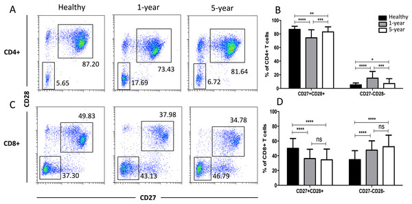 Parental proportions of costimulatory molecular (CD27 and CD28) T cells among different groups.