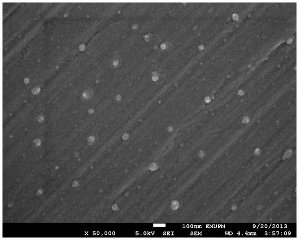 SEM image of nano-silver bactericides at 50,000 X.