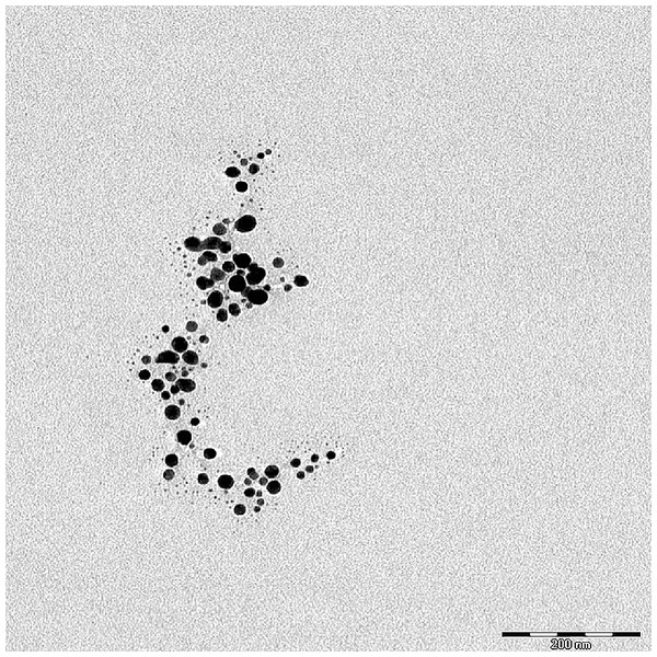 TEM image of silver NPs. Scale = 200 nm.