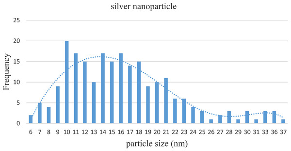 Distribution of sizes of silver NPs based on the TEM results.