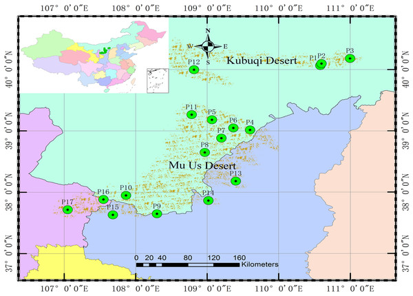 Locations of the 17 S. psammophila populations.