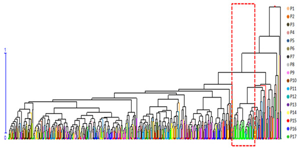 Hierarchical clustering dendrogram of 491 S. psammophila genets based on seven phenotypic traits.