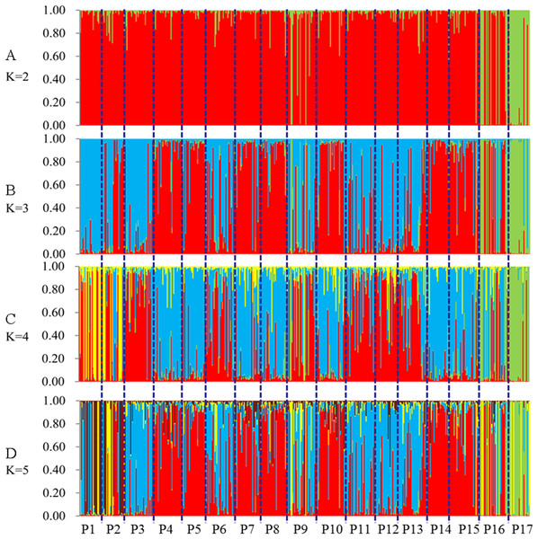 Population genetic structure of 491 genets from 17 populations of S. psammophila (2 ≤ K ≤ 5).