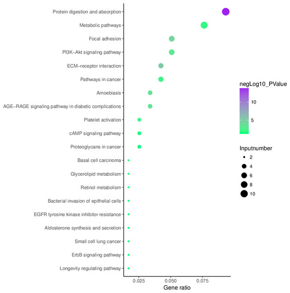 Enrichment of the aberrantly hydroxymethylated differentially expressed genes in Kyoto Encyclopedia of Genes and Genomes pathway analysis.