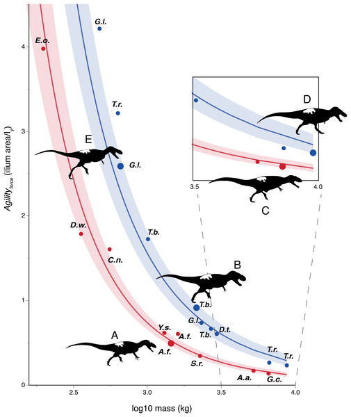 Log-linear plot of body mass (x-axis) vs. an agility index (y-axis) based on muscles originating from the ilium, with tyrannosauruids in blue and non-tyrannosaurids in red.