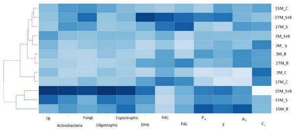 Comparable reaction between microbiological activity and gas exchange parameters subsequent in the months following the application of sludge sewage and sewage sludge with BAF.