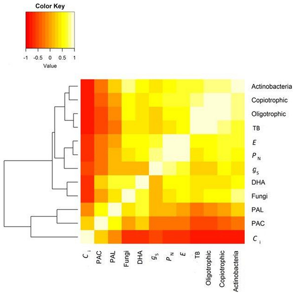 Correlation between gas exchange and all microbial parameters.