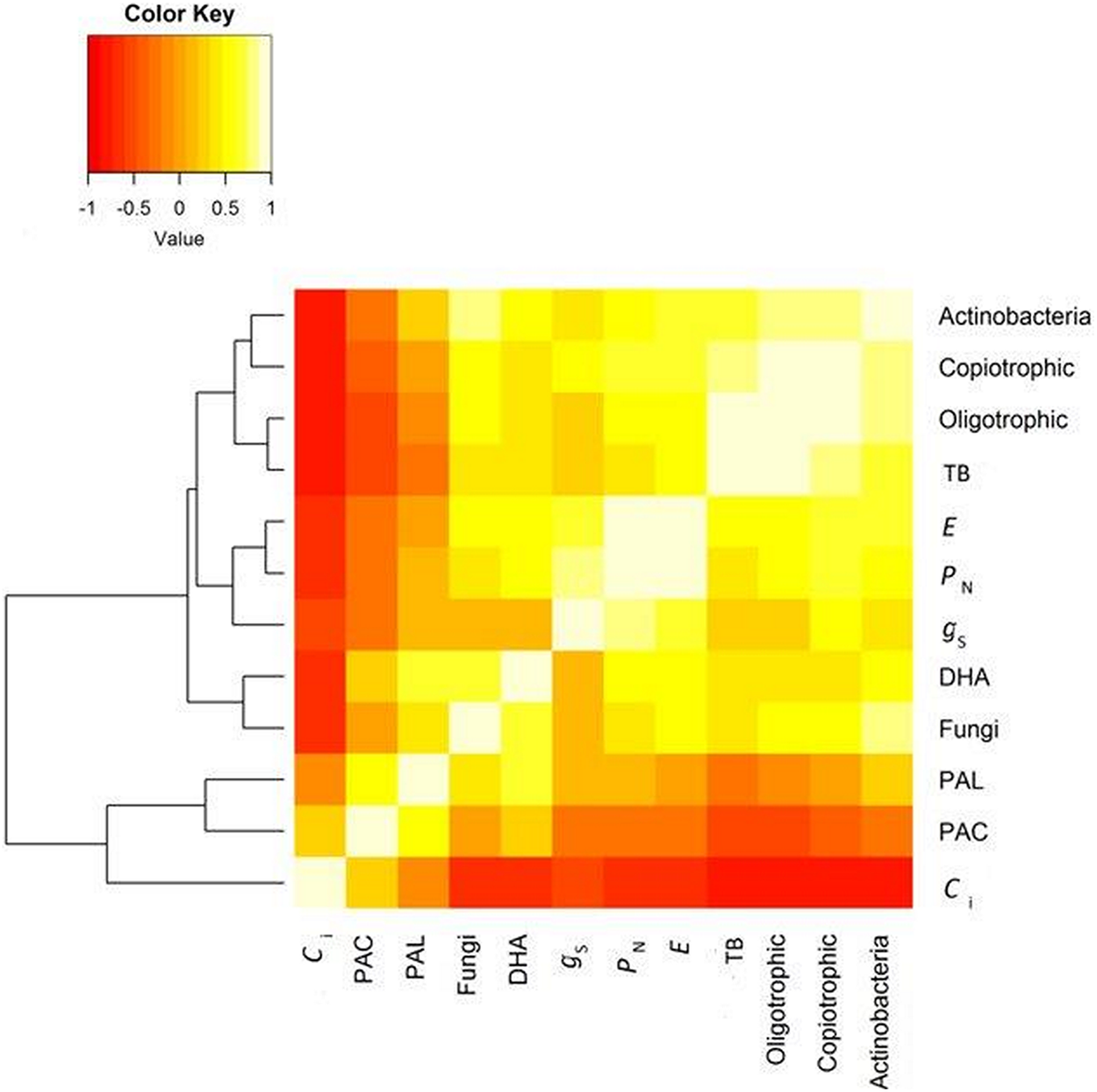 The effect of sewage sludge and BAF inoculant on plant condition and ...