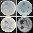 Comparative study on the composition of four different varieties of ...