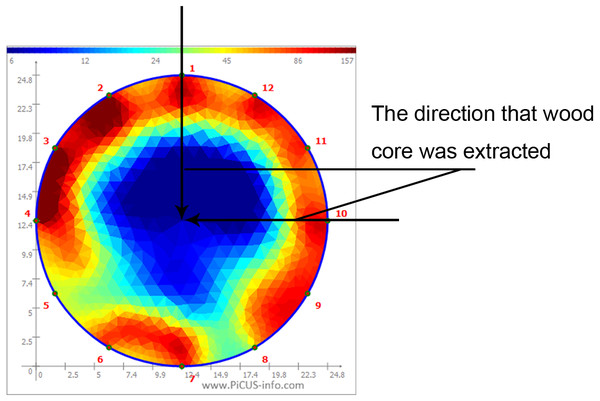 Electric Resistance distribution of tree cross-section