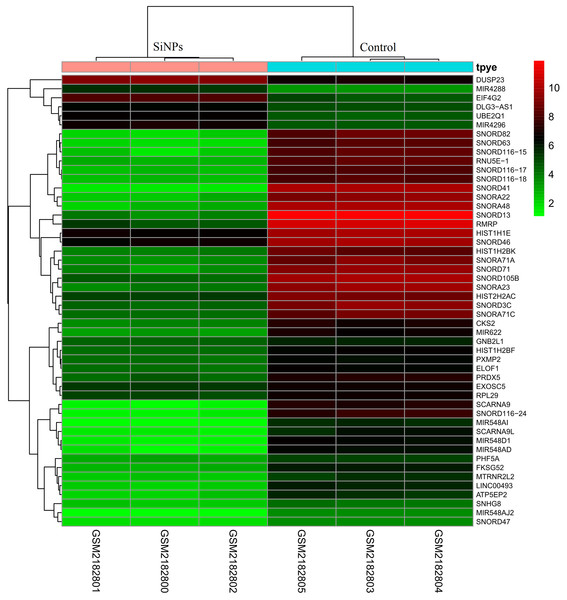 Heat map of differentially expressed genes identified between human lung epithelial cell Beas-2B exposed to amorphous silica nanoparticles or not.