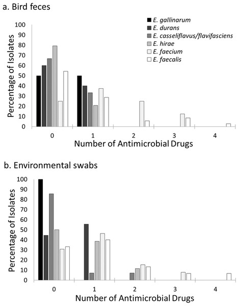 Prevalence of resistance to multiple antimicrobial drugs in Enterococcus species by site and isolate source.