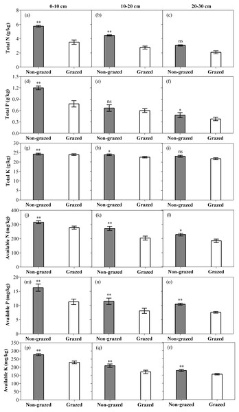 Effect of non-grazed and grazed on soil properties TN (g/kg), TP (g/kg), TK (g/kg), AN (mg/kg), AP (mg/kg) and AK (mg/kg) of alpine meadow between non-grazed and grazed treatment in 3 (0–10, 10–20 and 20–30 cm) soil depths.