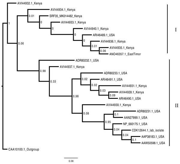 Consensus Bayesian phylogenetic tree of the Bean common mosaic necrosis virus amino acid (BCMNVA) sequence of the Nib, using Exabayes 1.4.1.