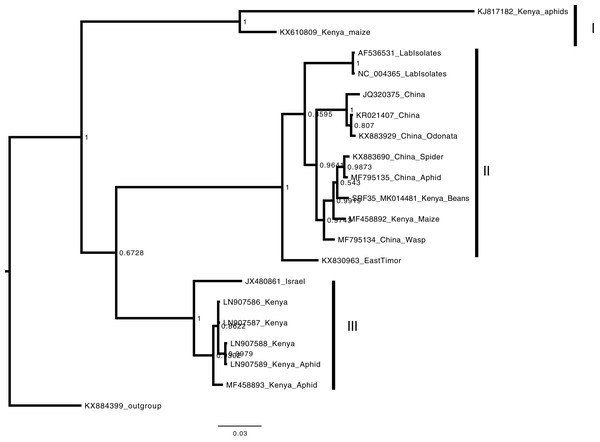 Consensus Bayesian phylogenetic tree of Aphid lethal paralysis virus (ALPV) using nucleotide sequences of the hypothetical protein gene 1 and 2 using MrBayes 3.2.6.