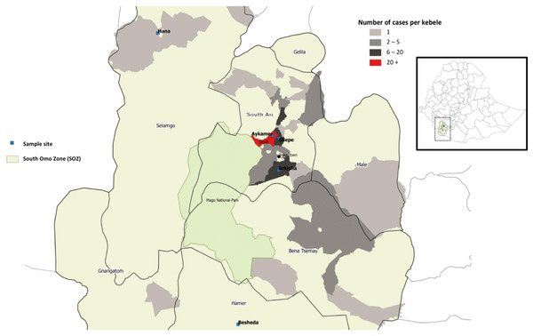 Map of study sites in South Omo Zone (SOZ), Southern Nations Nationalities and People’s Region (SNNPR), South-West Ethiopia, showing distribution and frequency of YFV cases (n = 165).