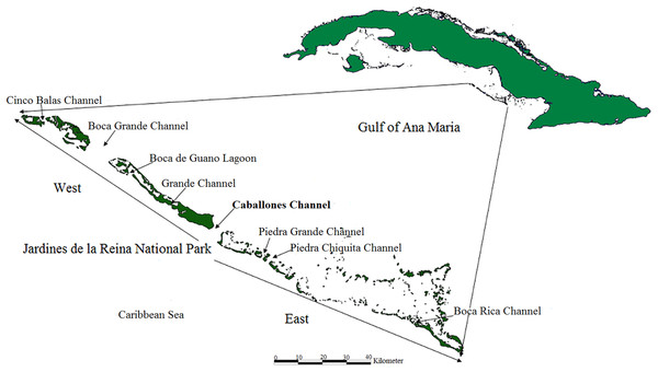 Location of study area; Jardines de la Reina National Park, Cuba.