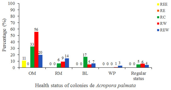 Health status of colonies of Acropora palmata, in five reserve zones, in Jardines de la Reina National Park, Cuba.