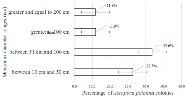 Maximum diameter ranges in Acropora palmata colonies in Jardines de la Reina National Park, Cuba.