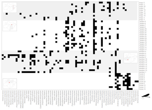 metacommunity-patterns-of-amazonian-odonata-the-role-of-environmental