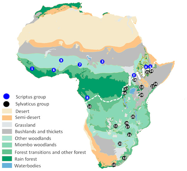 The land cover of Africa reconstructed from remotely sensed data (redrawn from Mayaux et al., 2004).
