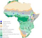 Rapid ecological specialization despite constant population sizes [PeerJ]