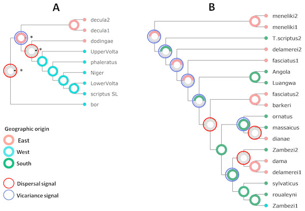 Statistical reconstructions (Pie charts) of ancestral areas based on the S-DIVA analyses of nuclear DNA for Scriptus (A) and Sylvaticus (B).