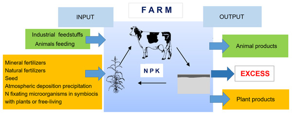 Schema of the nutrient balance method “At the farm gate”; own elaboration (Pietrzak, 2013).