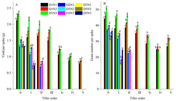 Effects of plant densities and application of nitrogen rates on yield per spike (A) and grain number per spike (B) of different tillers.