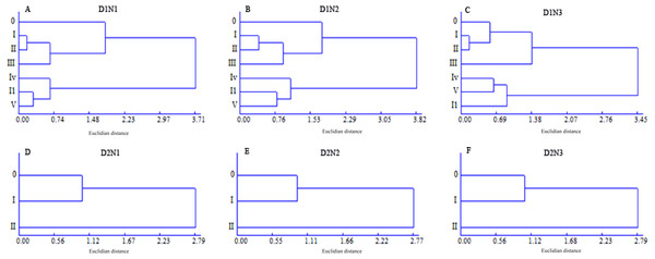 Dendrogram of the classification of different wheat tillers based on grain number and yield per spike.