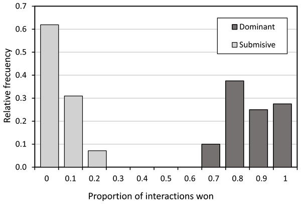 Histogram of the proportion of interactions won in BW males of P. zoe.