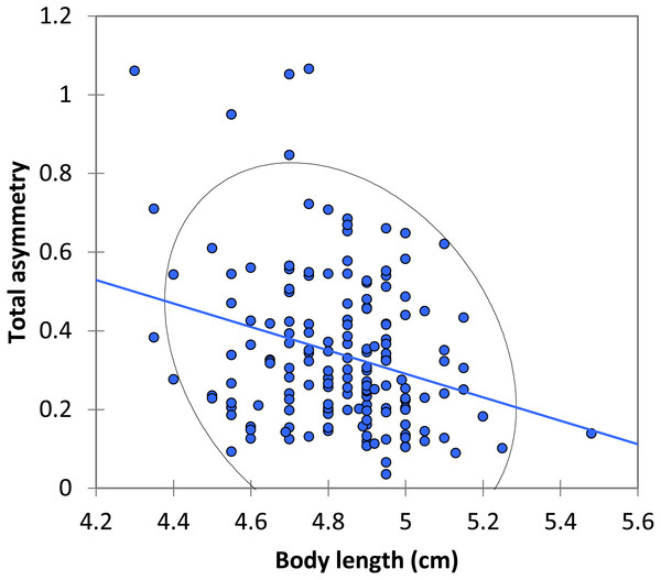 The relationship between body length and total asymmetry for BW males of P. zoe.