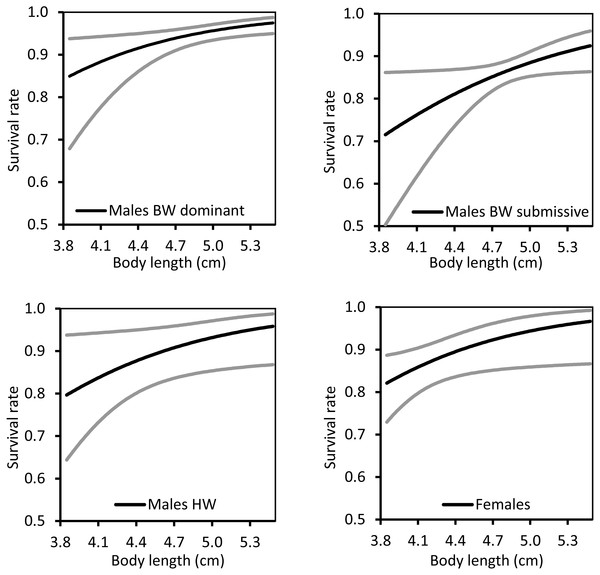 The relationship between body length and survival rate for territorial (BW), non-territorial (HW) and females of Paraphlebia zoe.