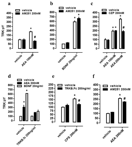 CB1/TRPV1-dependent mechanism of AEA-induced activation of TRKB.