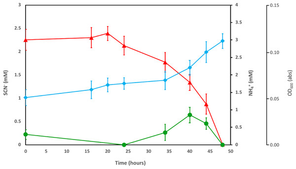 Concentration profiles of SCN− (red) and NH4+ (green) in SCN− metabolising culturing experiments.